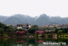 能够通过收集搜刮、业从论实地调查等体例